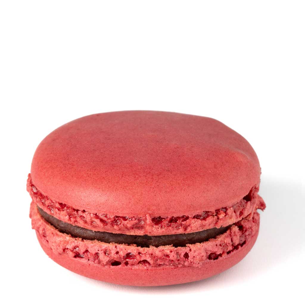 Elmer Chocolate Raspberry