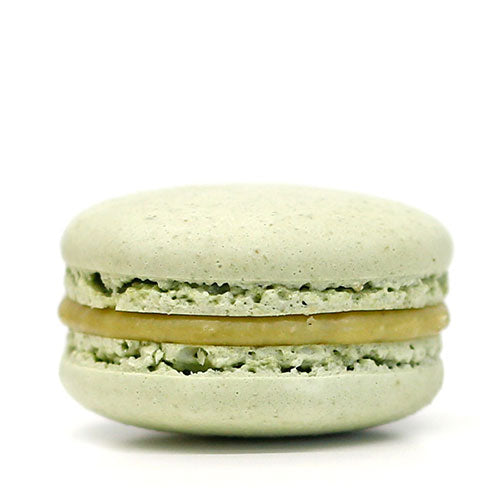 COLLECTION MACARONS INTEMPORELLE